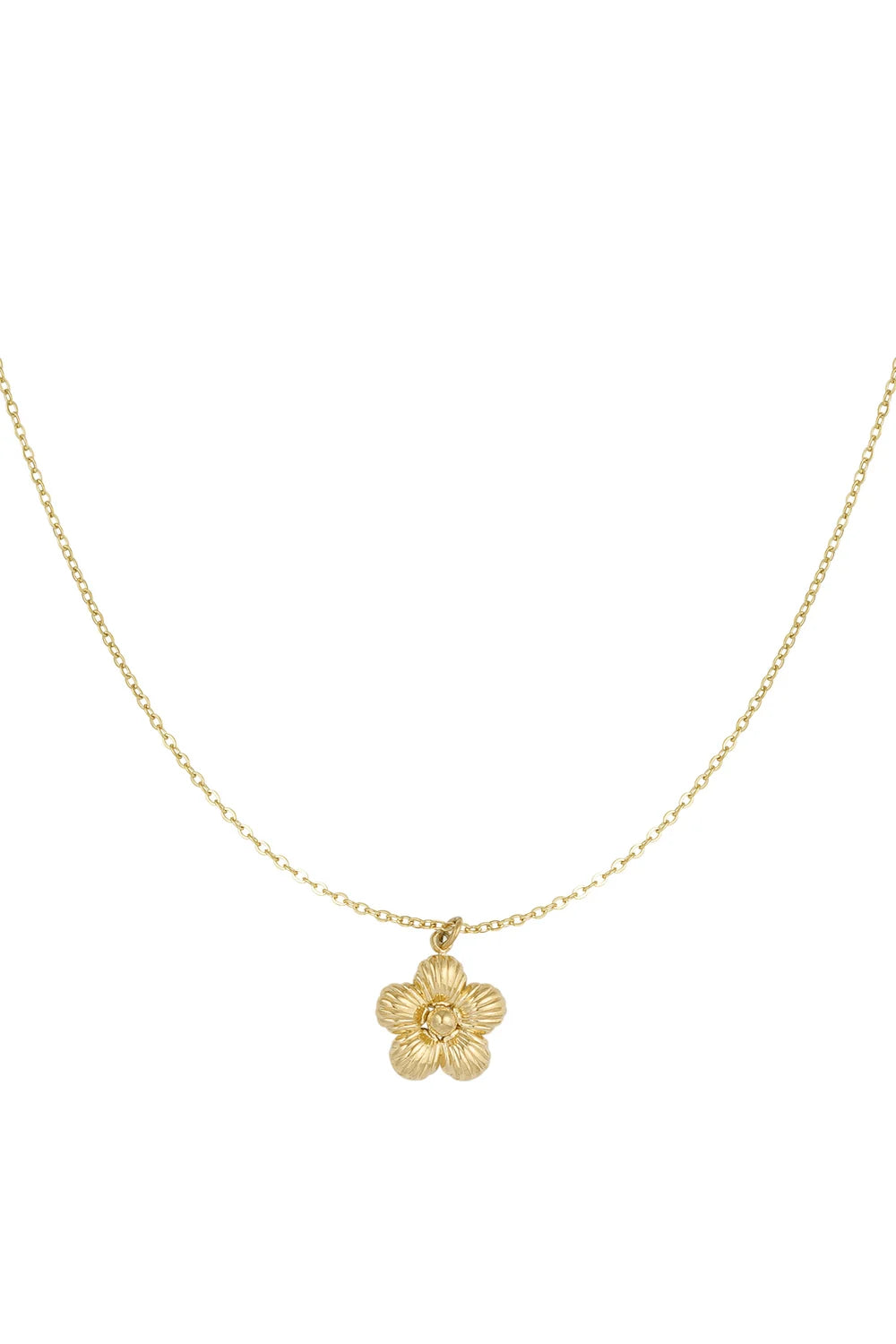 Ketting Daisy